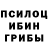 Псилоцибиновые грибы Psilocybine cubensis Sfg Sdg
