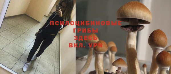 mix Магас