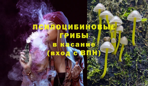 мяу мяу мука Майский