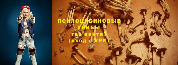 мяу мяу мука Майский