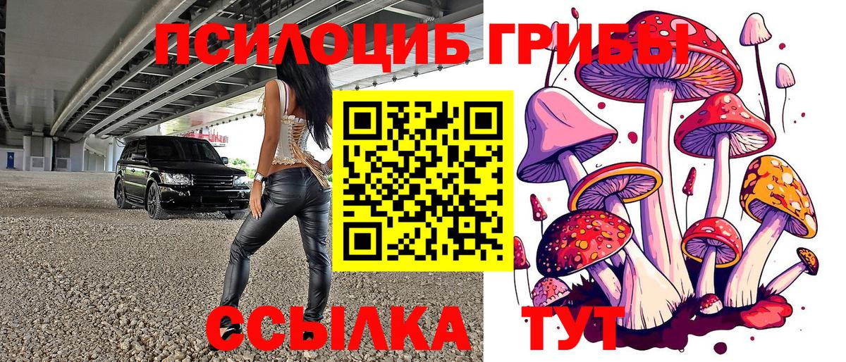 Нягань  Галлюциногенные грибы MAGIC MUSHROOMS  Псилоцибиновые грибы GOLDEN TEACHER  Вход с VPN 