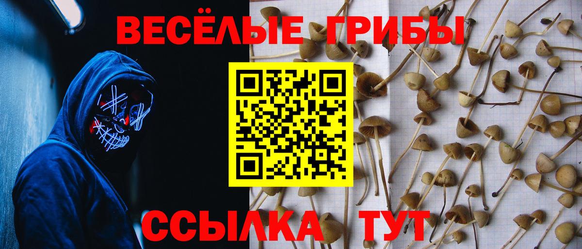 Псилоцибиновые грибы мухоморы Нягань
